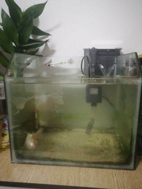 加個裝備！！！