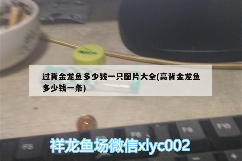 魚缸黑底色怎么改變（魚缸黑底色怎么改變顏色）