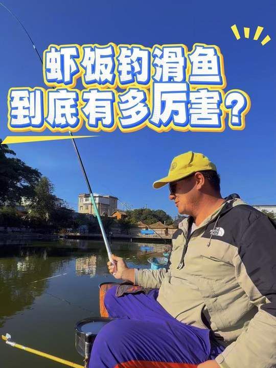 哪些魚適合吃蝦米？