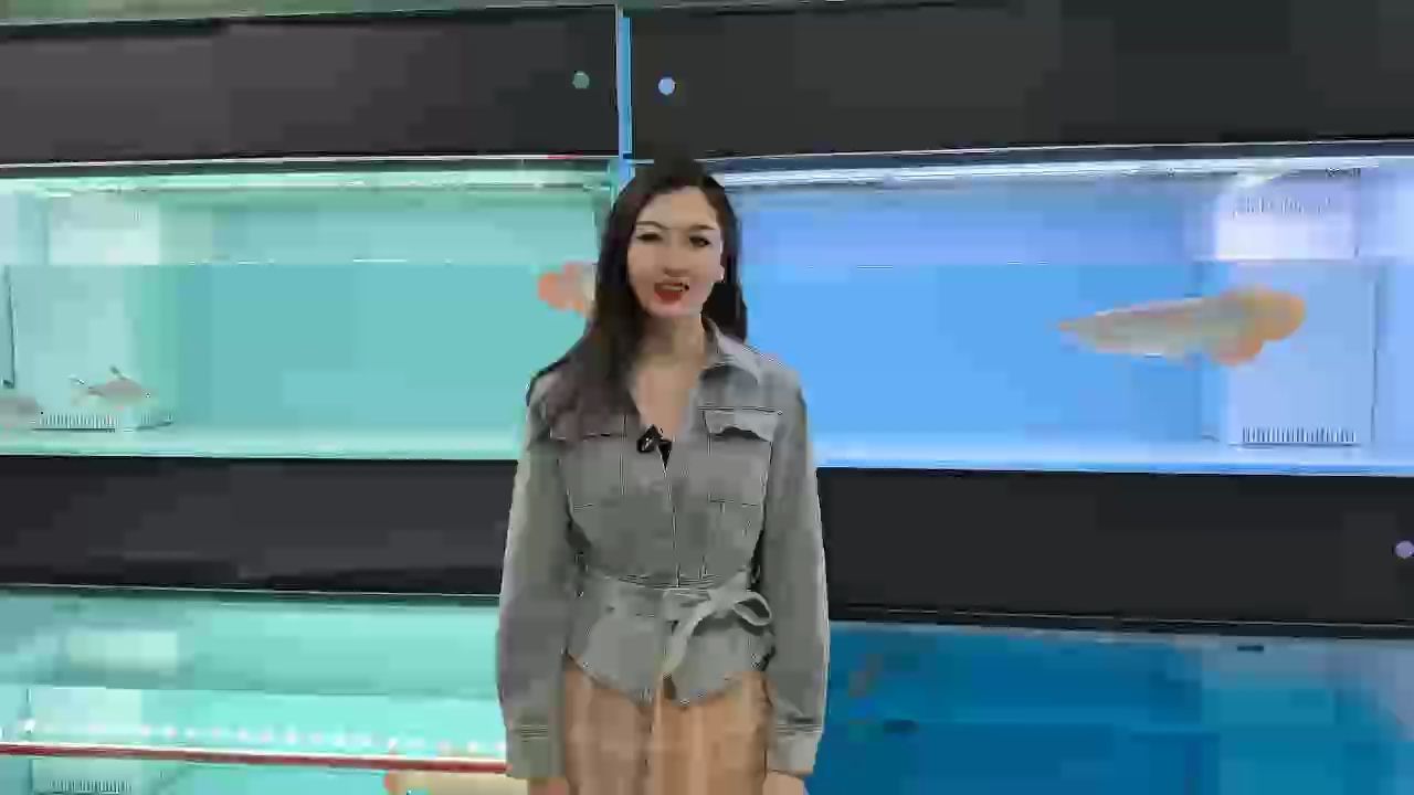 炮彈頭、針刺尾、大平背！
魚友們，這條紅龍魚培養一下有戲嗎？??????
#萬隆天王紅龍 #紅龍 #龍魚 #觀賞魚