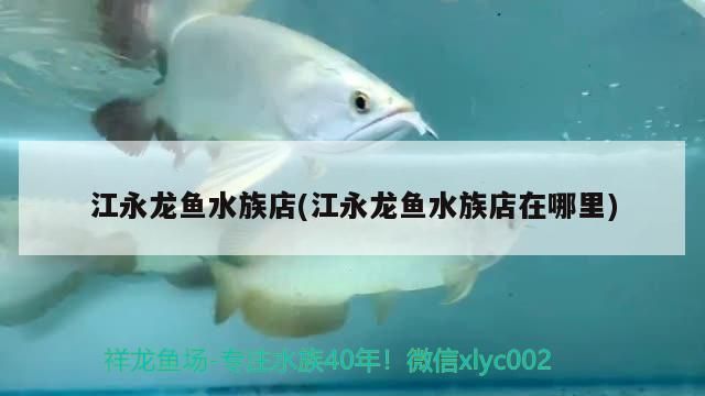 江永龍魚水族店(江永龍魚水族店在哪里) 江永龍魚水族店(江永龍魚水族店在哪里) 觀賞魚百科