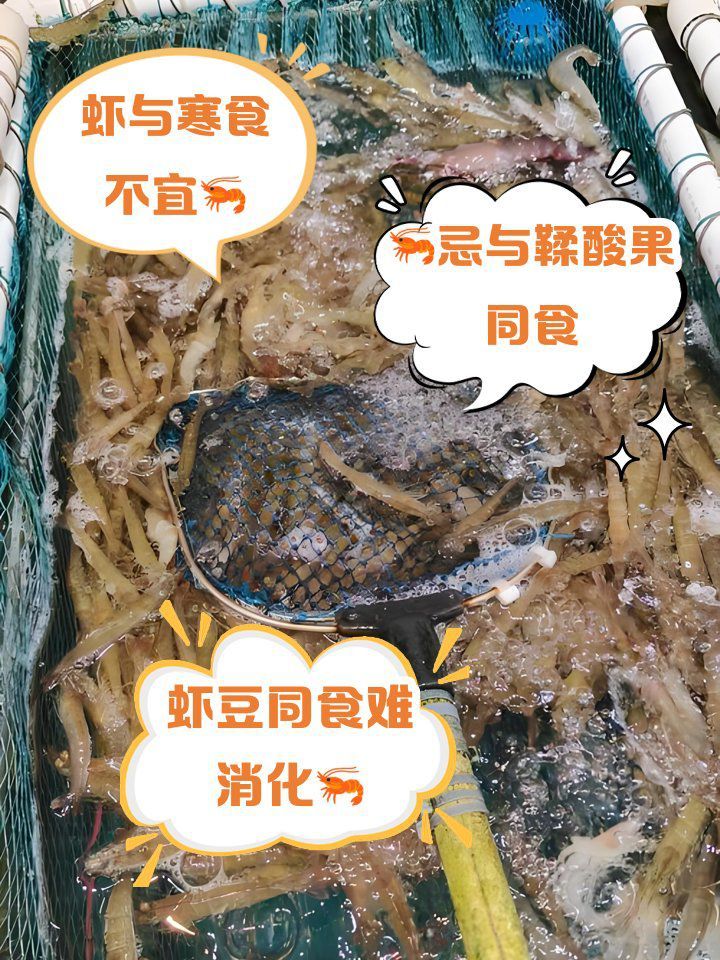 除了這三種，小河蝦還能忌哪些食物？
