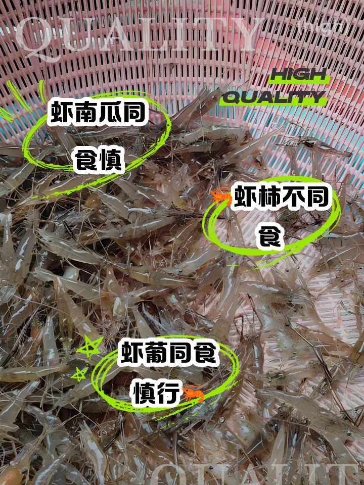 除了這三種，小河蝦還能忌哪些食物？