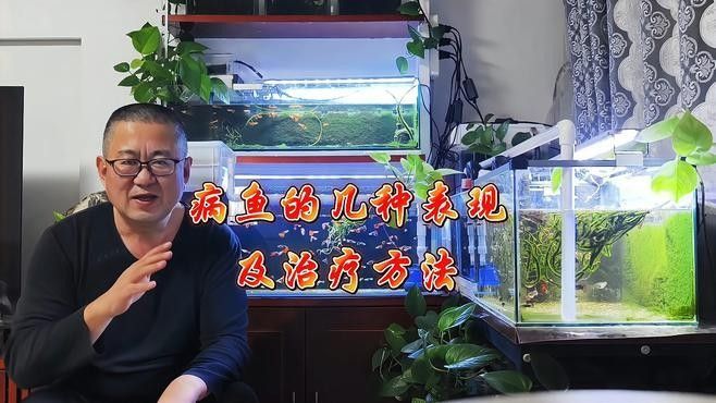 魚常見病的治療