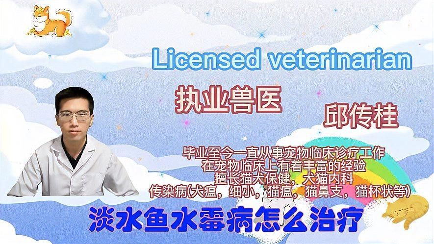魚常見病的治療