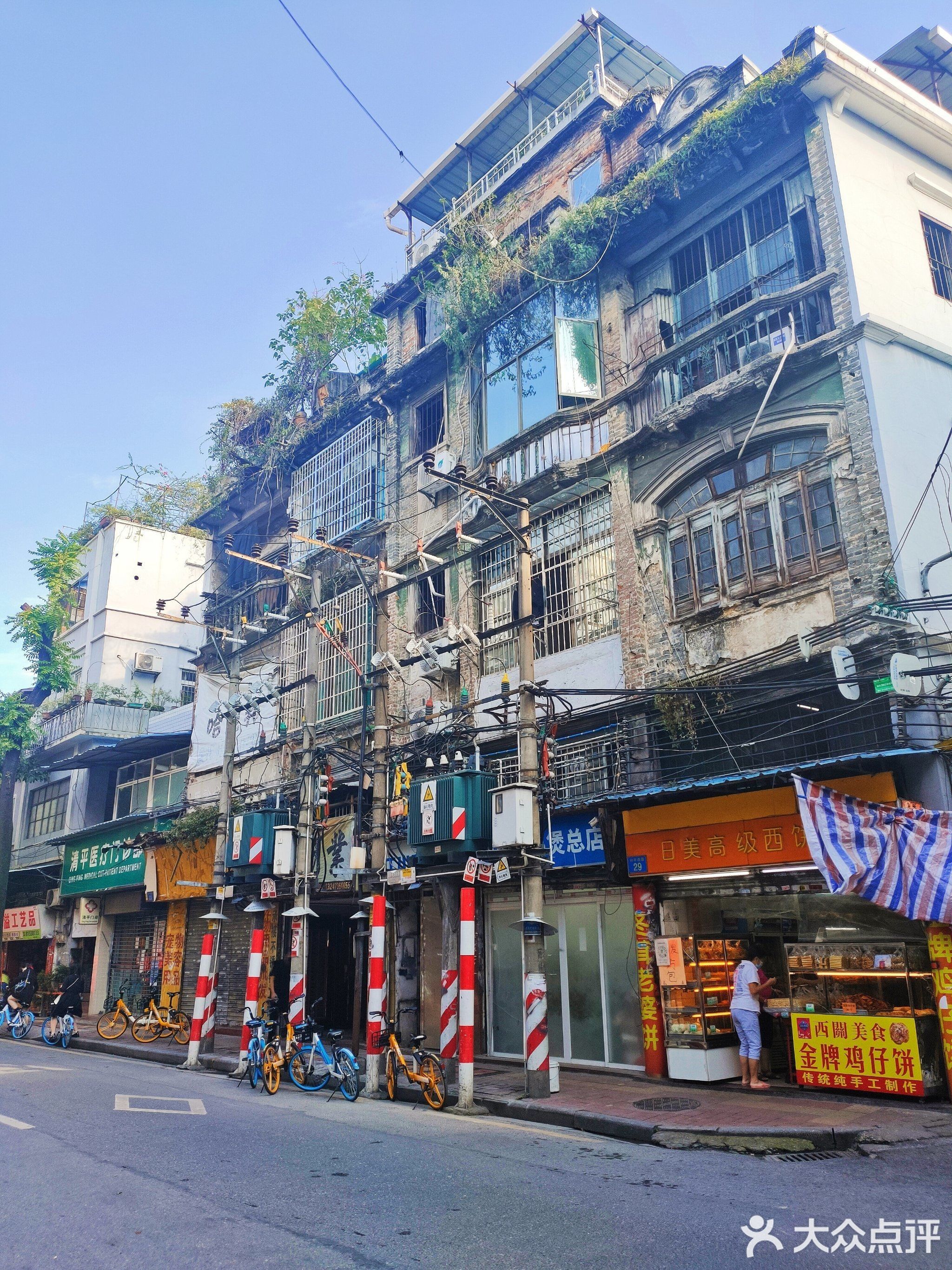 廣州最大觀賞魚市場 廣州最大觀賞魚市場 觀賞魚百科 第2張