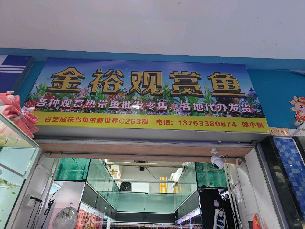 廣州最大觀賞魚市場 廣州最大觀賞魚市場 觀賞魚百科 第4張