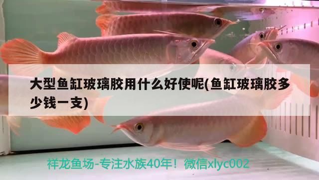 大型魚缸玻璃膠用什么好使呢(魚缸玻璃膠多少錢一支) 大型魚缸玻璃膠用什么好使呢(魚缸玻璃膠多少錢一支) 觀賞魚百科