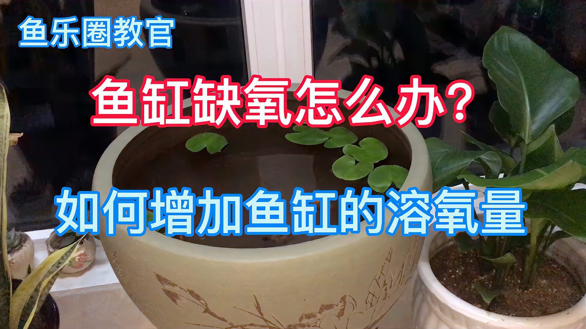 有哪些方法可以增加魚缸中的溶氧量？