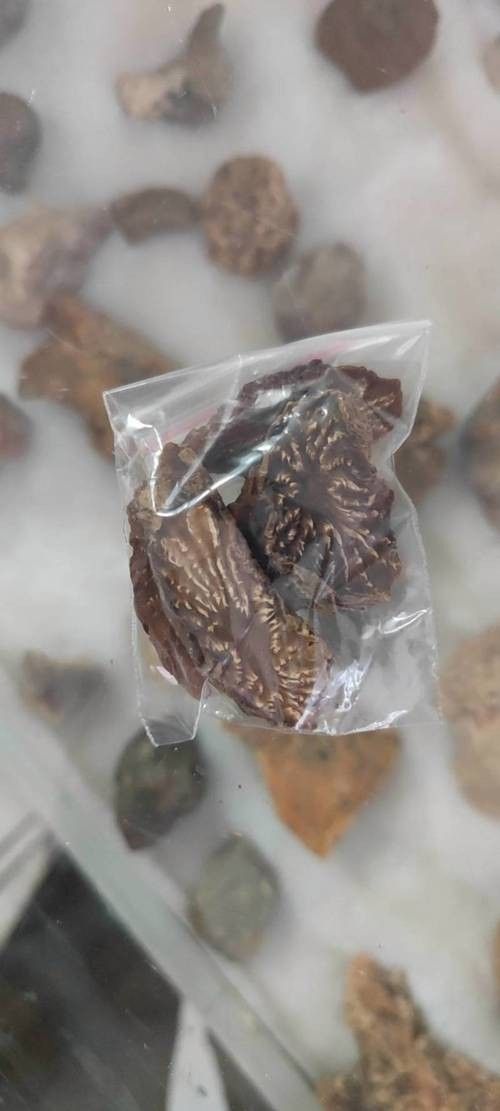 烏拉特后旗特產是什么