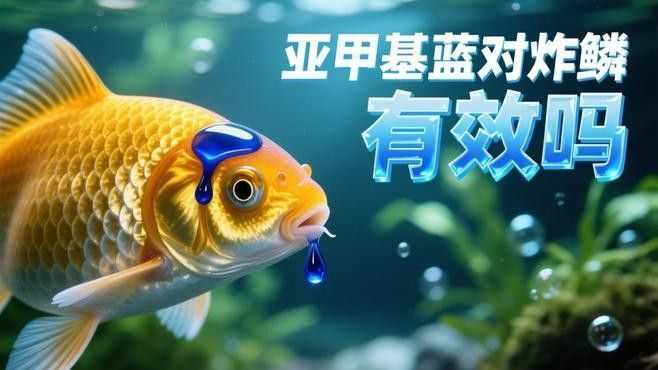 亞甲基藍對炸鱗有效嗎