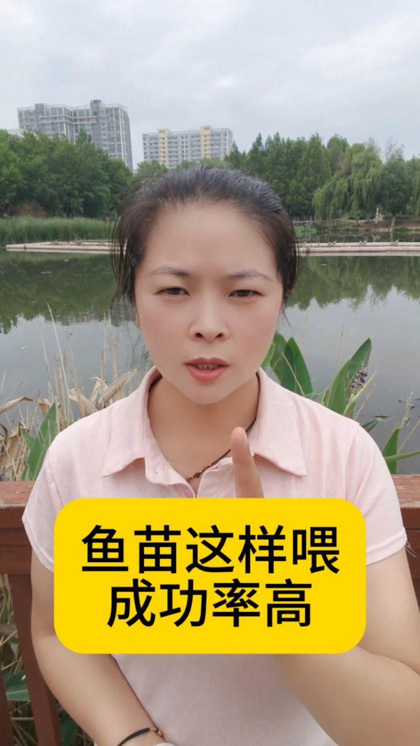 1～3厘米魚苗多久喂一次？