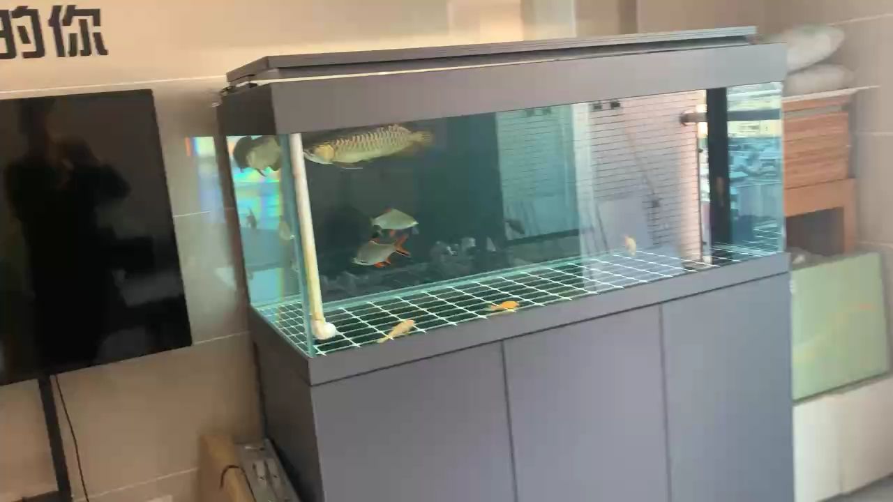 斷更一天