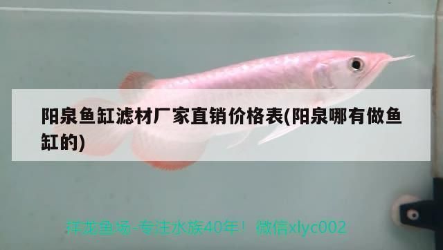 陽泉魚缸批發市場：陽泉市魚缸批發市場地址，魚缸批發市場價格對比
