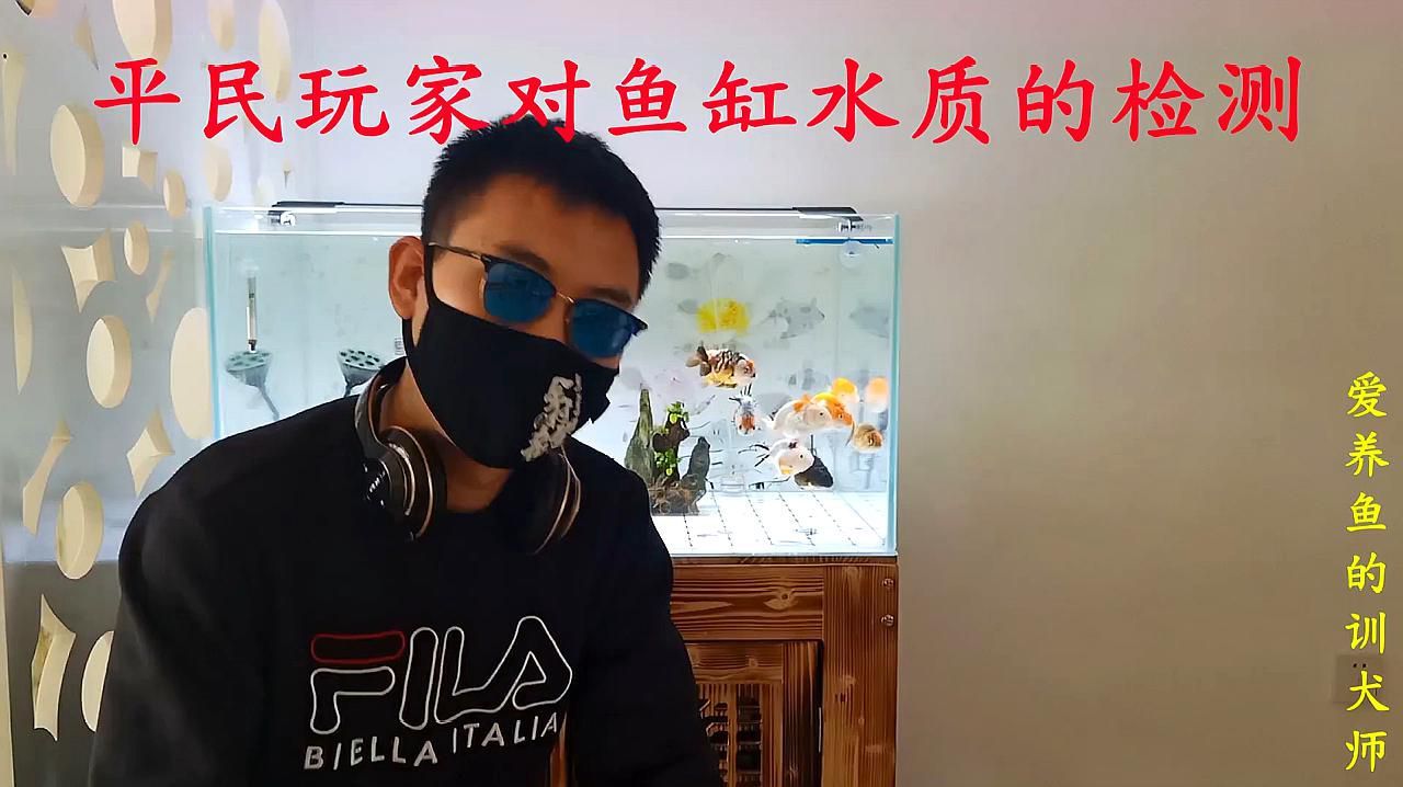 如何判斷水質是否適合金魚？