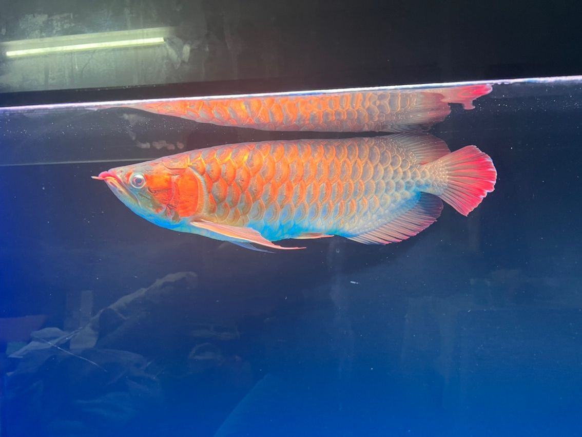 一個(gè)星期變化還蠻大的