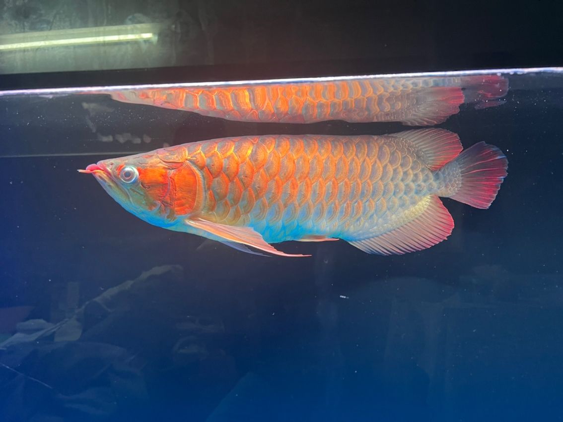 一個(gè)星期變化還蠻大的