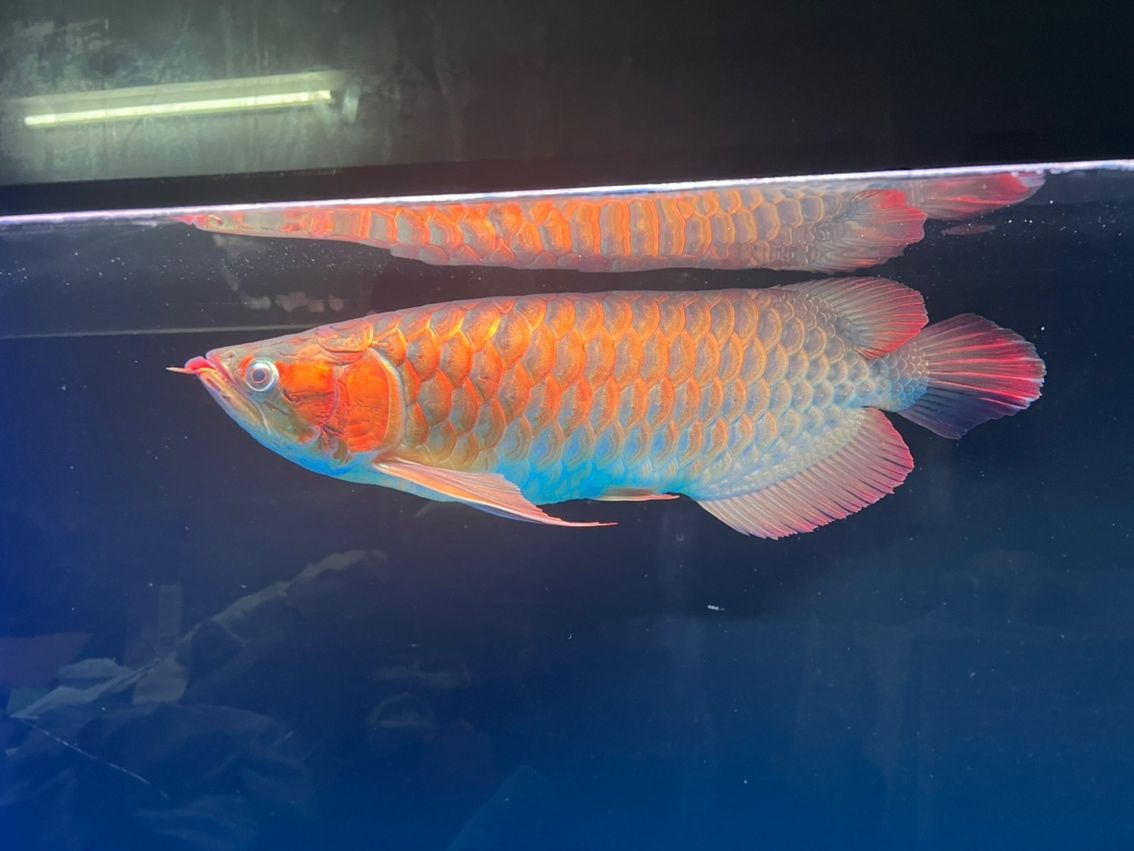 一個(gè)星期變化還蠻大的