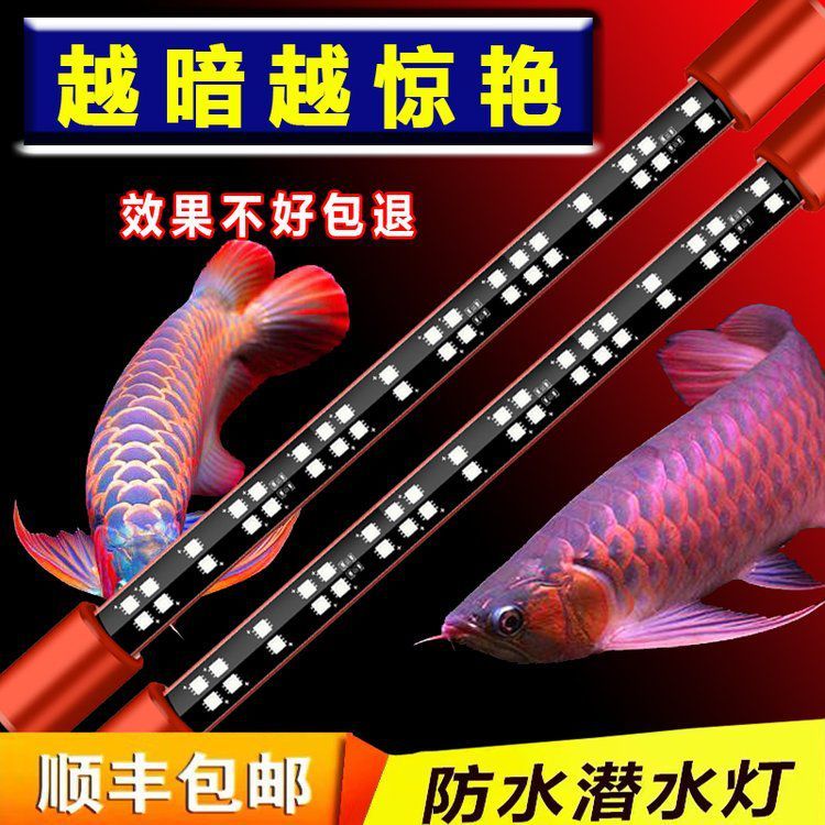 龍魚專用LED燈有哪些型號可選？ 龍魚專用LED燈有哪些型號可選？ 龍魚百科 第1張