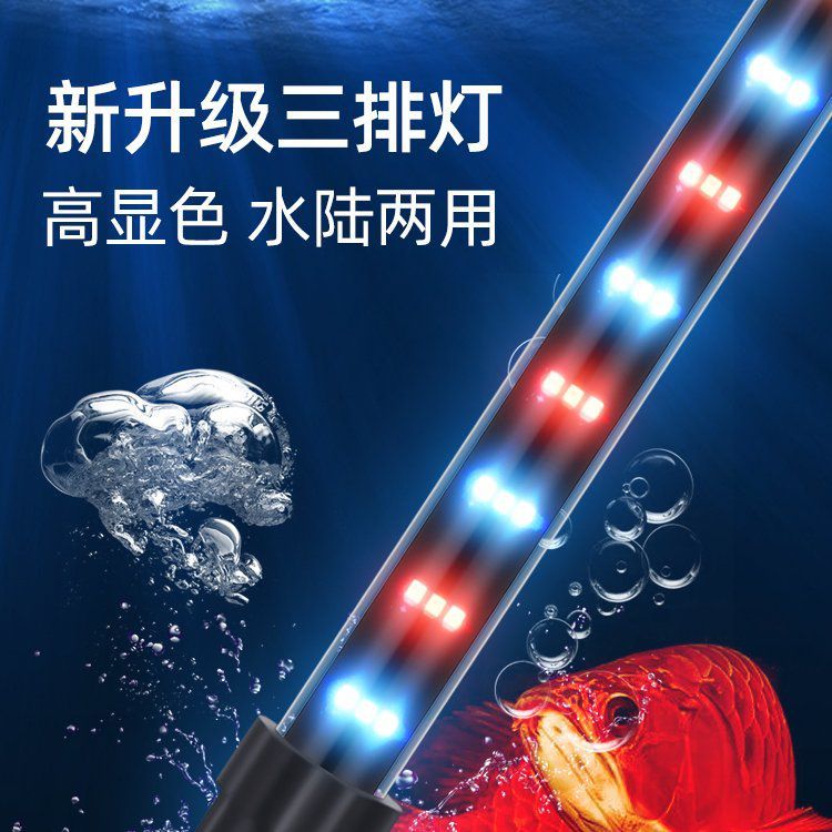 龍魚專用LED燈有哪些型號可選？ 龍魚專用LED燈有哪些型號可選？ 龍魚百科 第3張