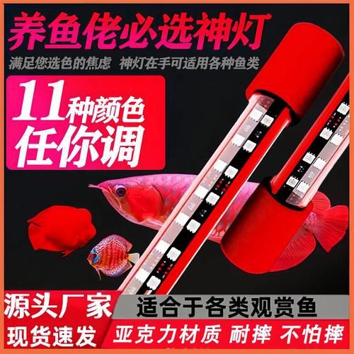龍魚專用LED燈有哪些型號可選？ 龍魚專用LED燈有哪些型號可選？ 龍魚百科 第5張