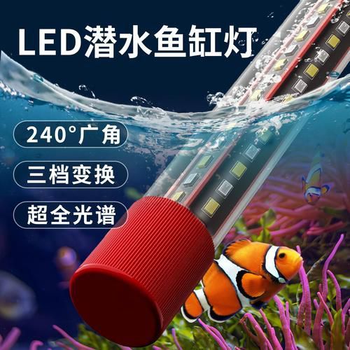 龍魚專用LED燈有哪些型號可選？ 龍魚專用LED燈有哪些型號可選？ 龍魚百科 第6張