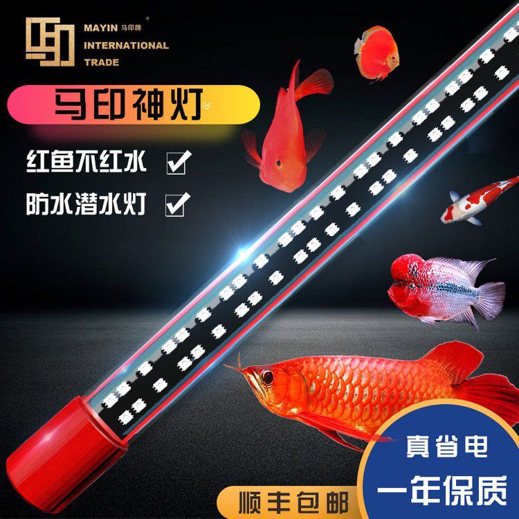 神燈龍魚專用燈的價格范圍是多少？