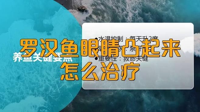 羅漢魚常見病治療方法 羅漢魚常見病治療方法 觀賞魚百科 第1張