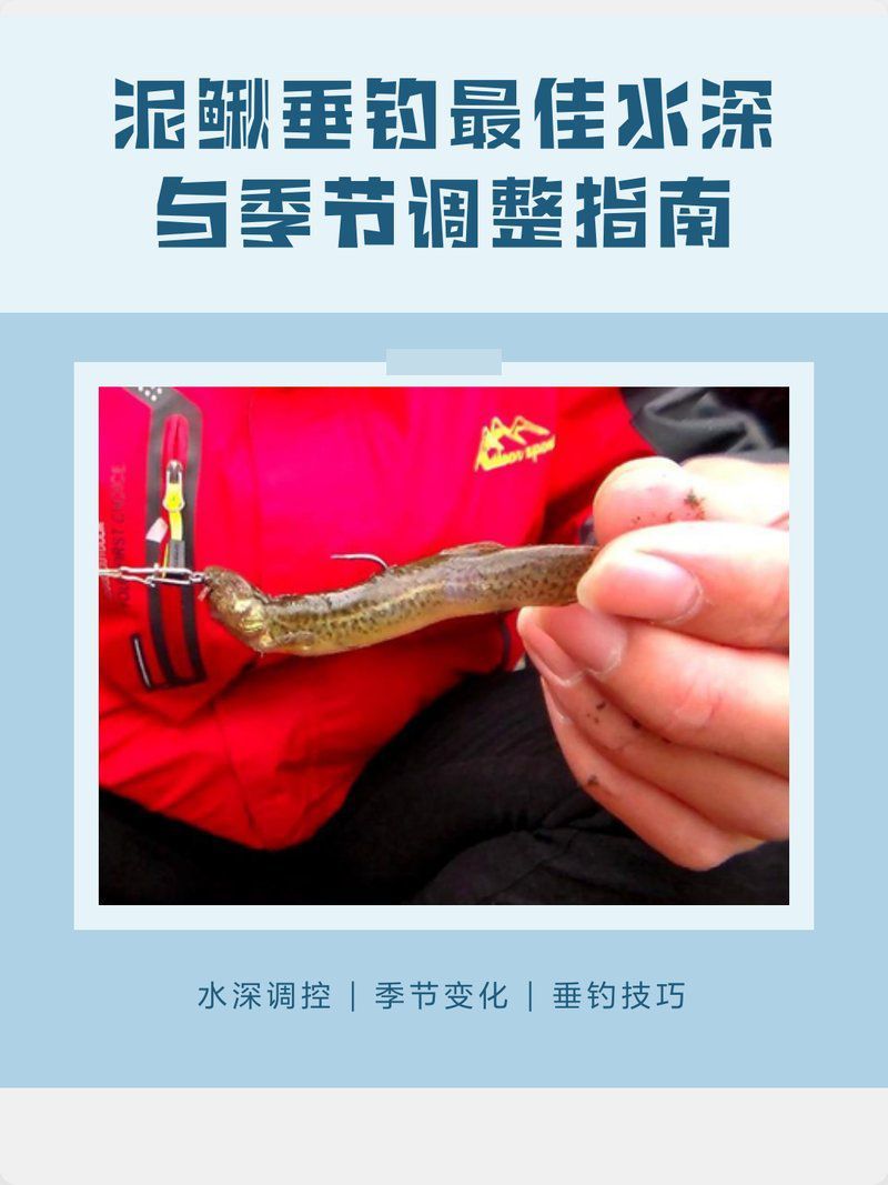 泥鰍釣魚的最佳季節(jié)是什么時候？