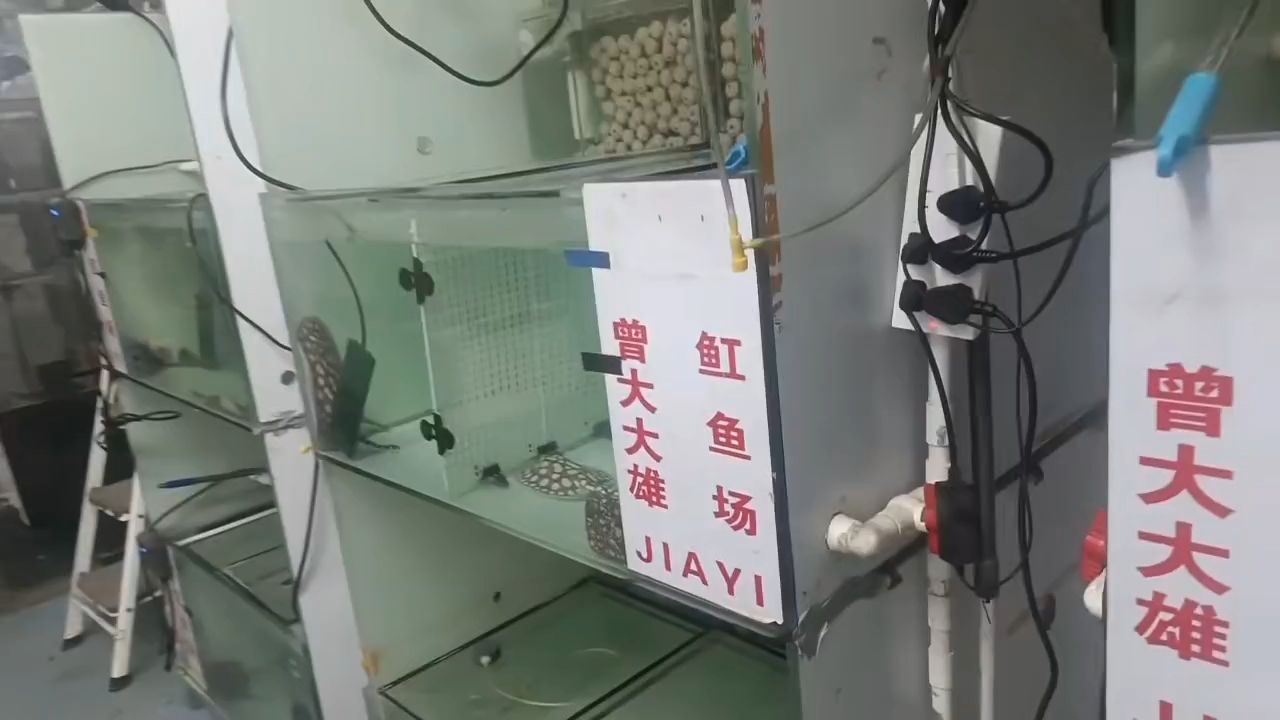 魚缸用增氧泵價格是多少:魚缸增氧機(jī)-xtrac增氧機(jī)-xtrac增氧機(jī) 早安喜樂平安 龍魚論壇 早安喜樂平安 早安喜樂平安 龍魚論壇