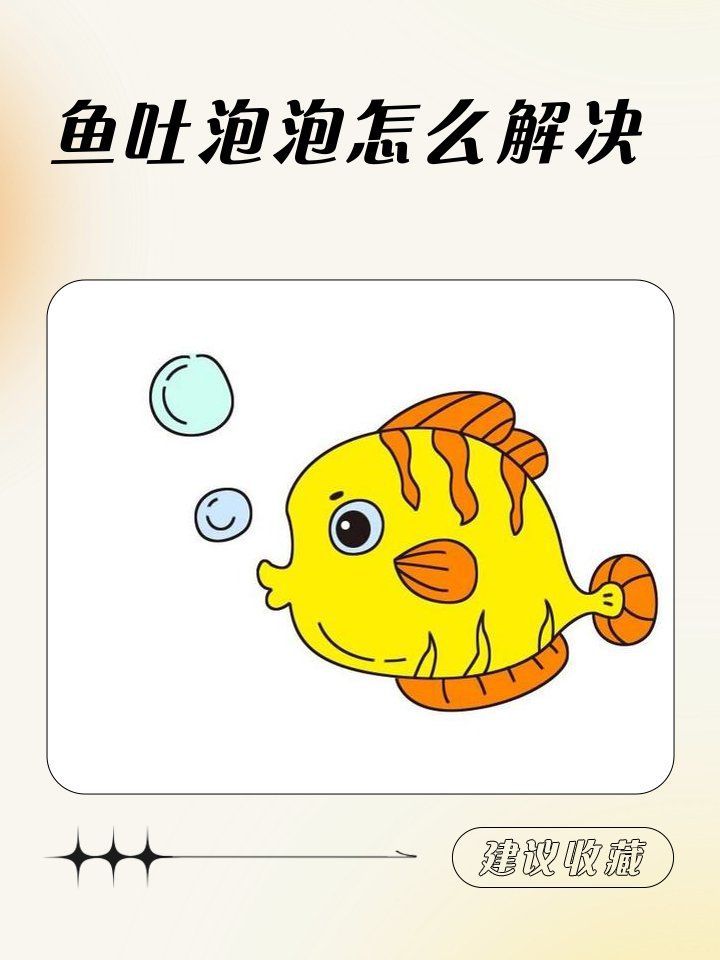 龍魚腮部吐氣泡需要立即換水嗎？