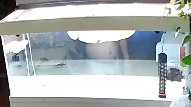 這家伙瘋了