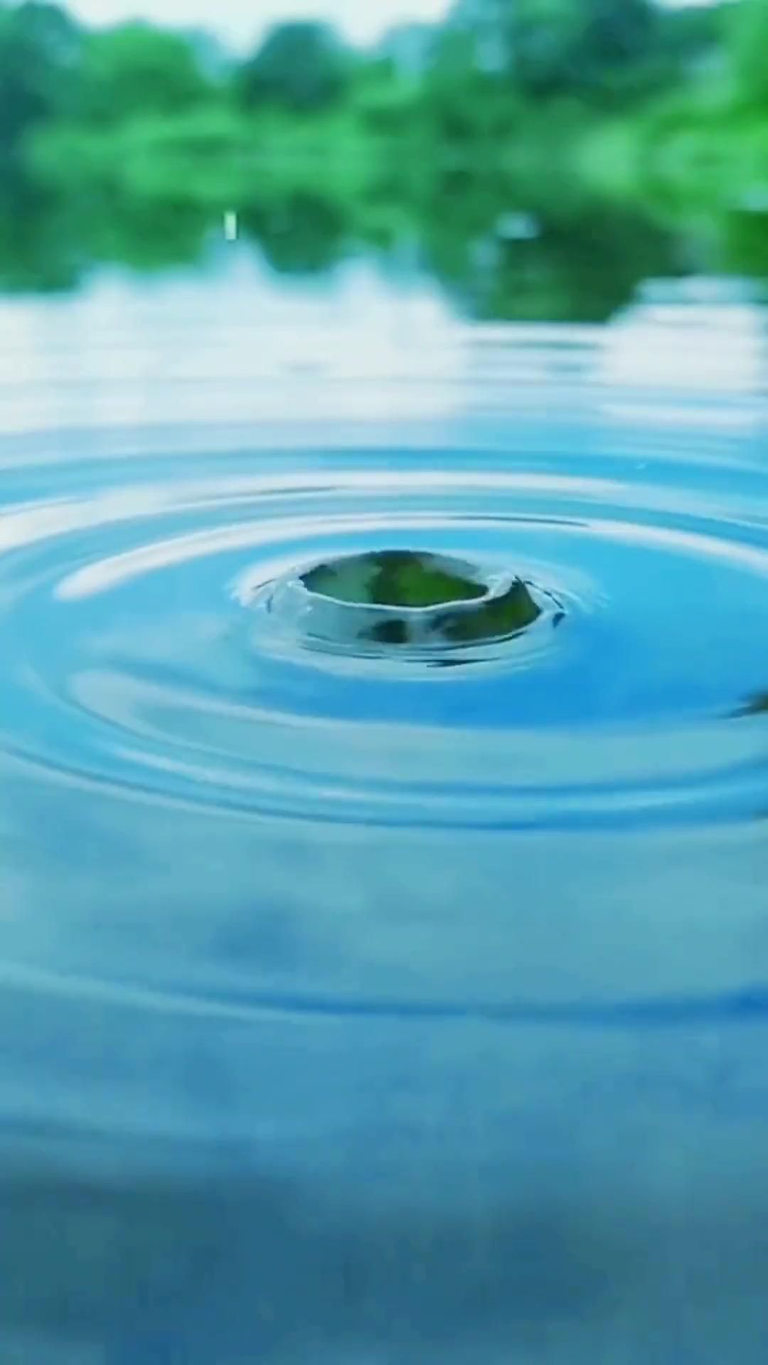 如何改善龍魚的飲食結構以發色？