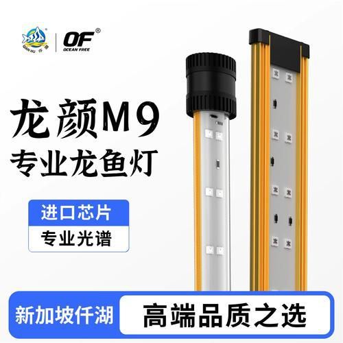 昭和三色錦鯉和大正三色錦鯉的區別，昭和三色錦鯉和大正三色錦鯉和大正三色錦鯉和大正三色區別
