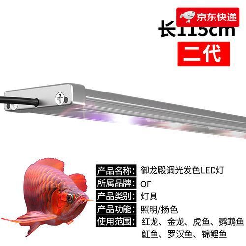 仟湖紅龍魚燈有哪些型號推薦？