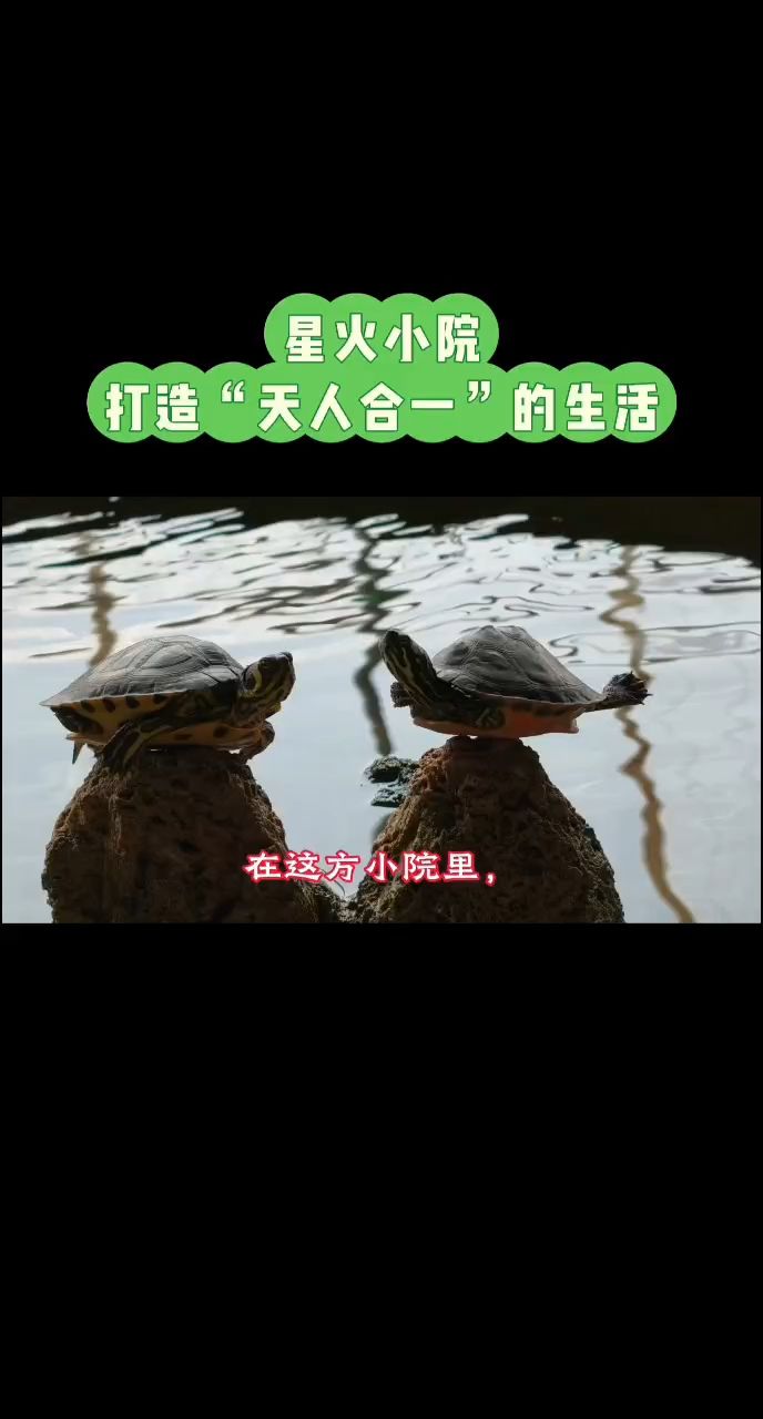 星星之火，可以燎原
打造“天人合一”的生態(tài)小院