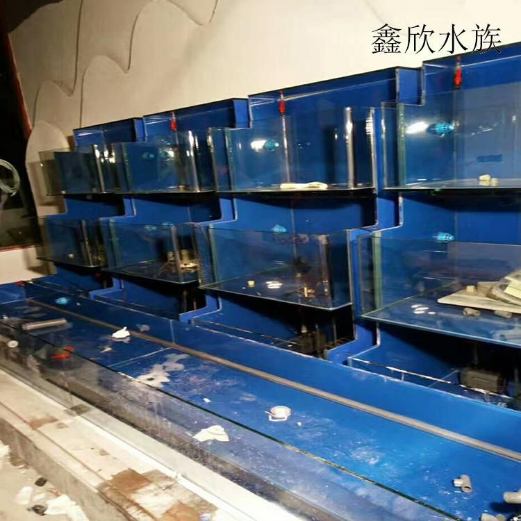 廣州水族批發市場在哪里便宜點呢多少錢：廣州水族批發市場