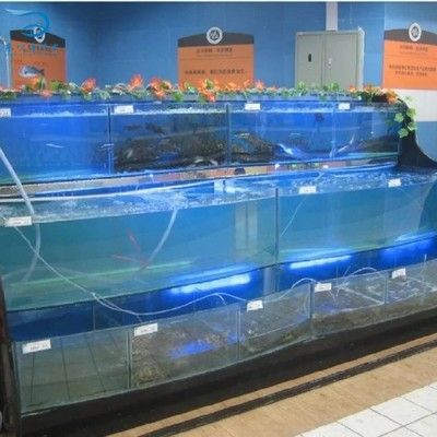 廣州水族批發市場在哪里便宜點呢多少錢：廣州水族批發市場