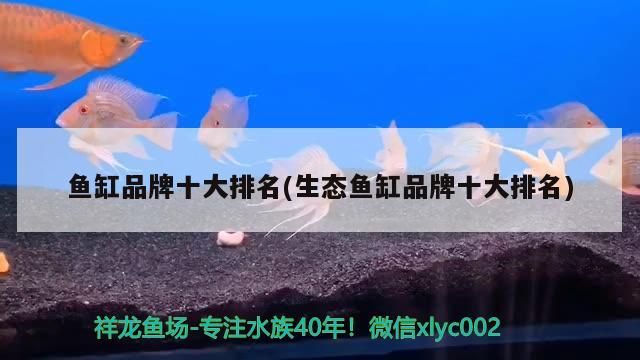 魚缸品牌十大排名(生態魚缸品牌十大排名)
