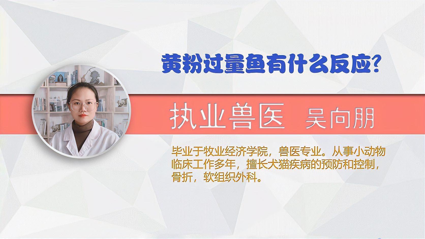 黃粉對魚有哪些短期影響？