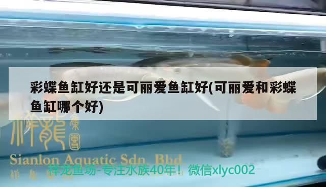 彩蝶魚缸好還是可麗愛魚缸好(可麗愛和彩蝶魚缸哪個好)