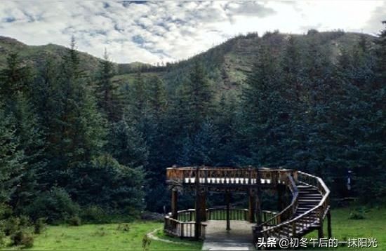 張掖觀賞魚:張掖四環經過哪些村