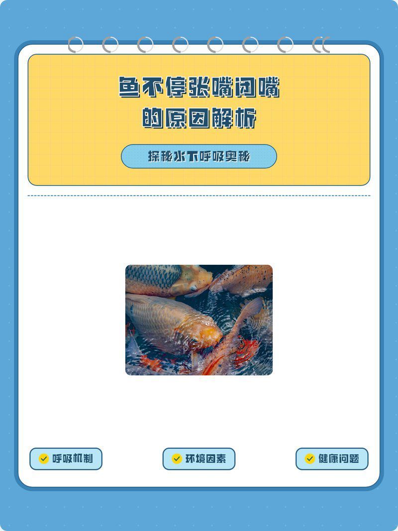 魚不停張嘴閉嘴是生病了嗎？ 魚不停張嘴閉嘴是生病了嗎？ 龍魚百科 第1張