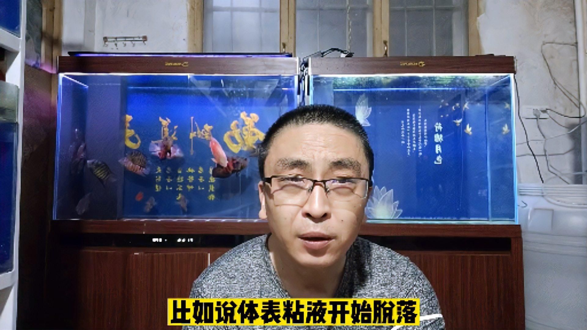 六角龍魚(yú)價(jià)格多少錢一條，六角龍魚(yú)的價(jià)格通常是多少六角龍魚(yú)健康的重要因素