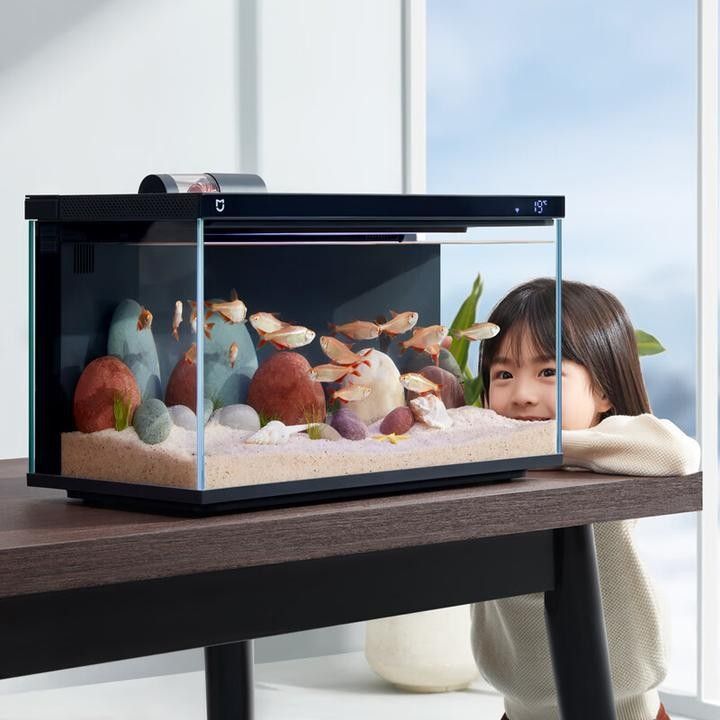 混養魚10大品牌