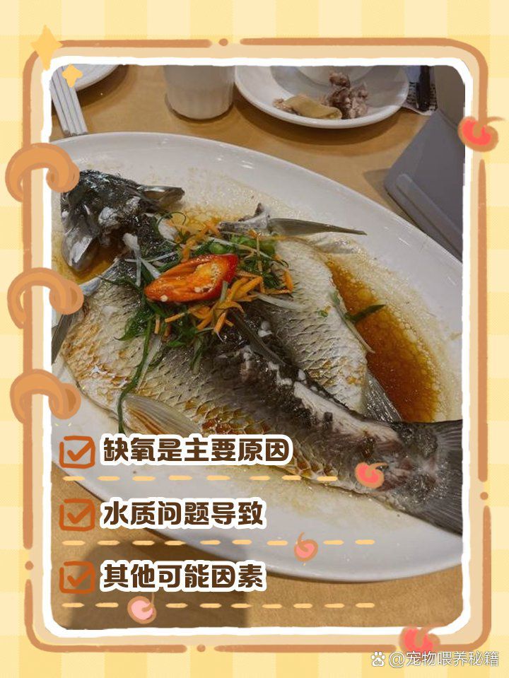 金龍魚張嘴是缺氧嗎？ 金龍魚張嘴是缺氧嗎？ 龍魚百科 第4張
