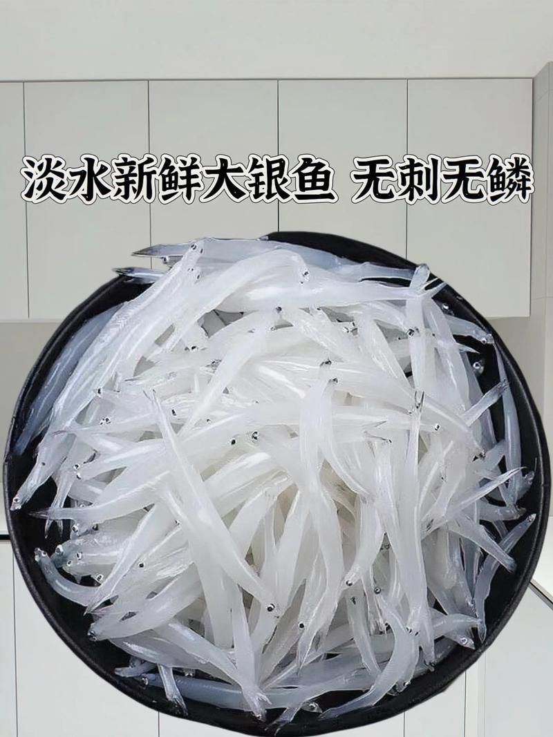 哪些魚是長江特色名魚？