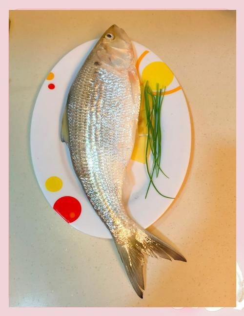 哪些魚是長江特色名魚？