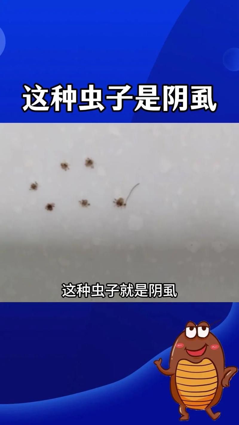 能提供這四種病的圖片嗎？