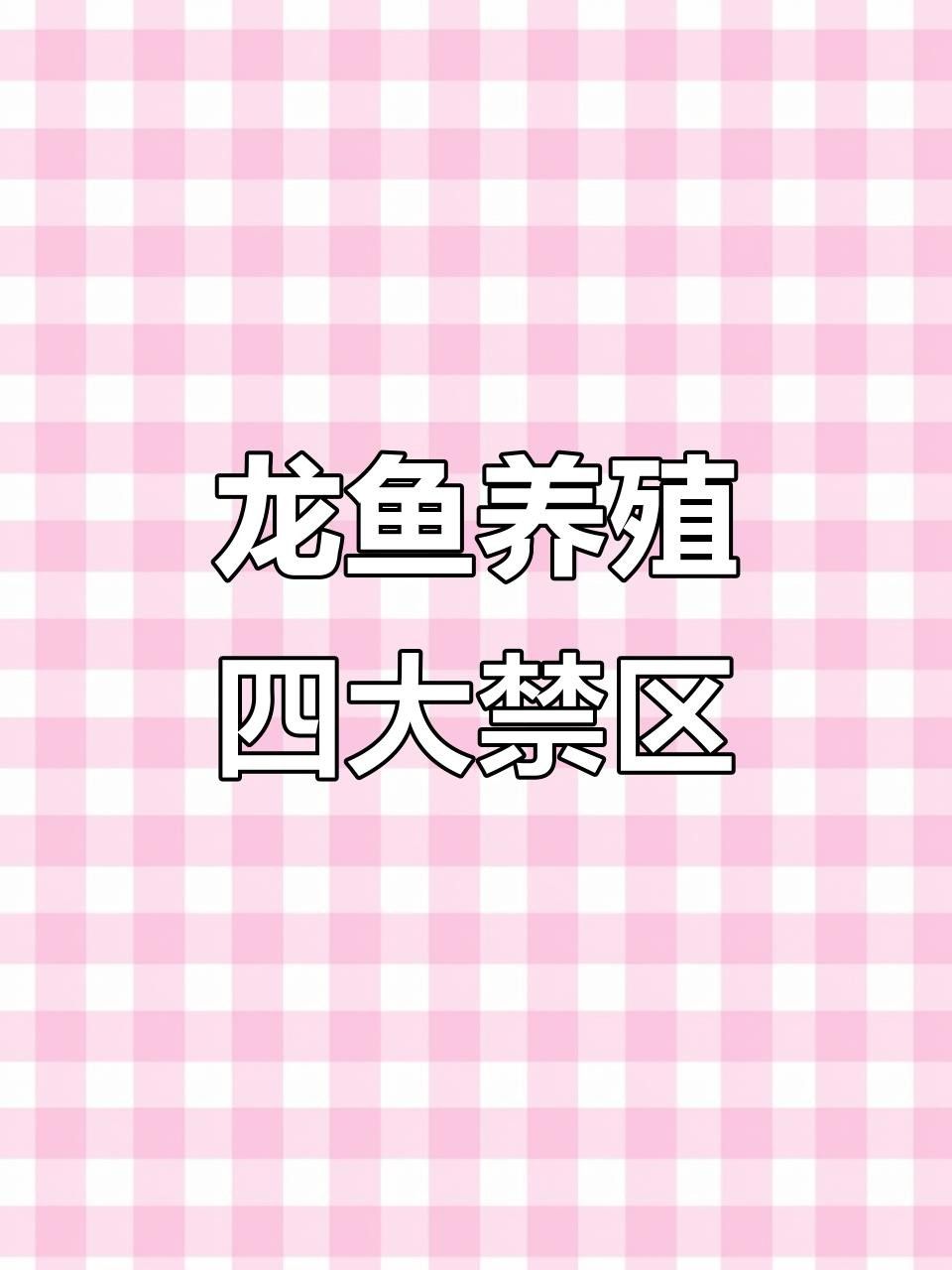 洛江紅龍魚最忌三種東西